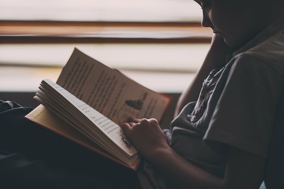 boy reading book, boy, gray, crew, neck, shirt, reading, book, people, kid