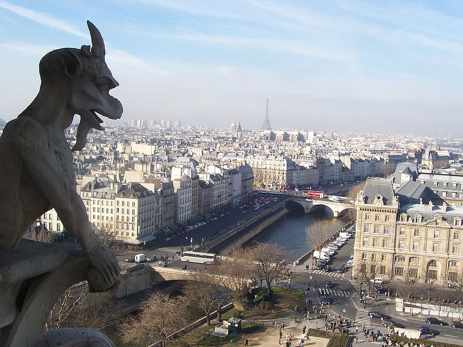 París, Francia, vista a la ciudad, Catedral de Notre Dame, gárgola, ciudad, paisaje urbano, romántico, famoso, histórico