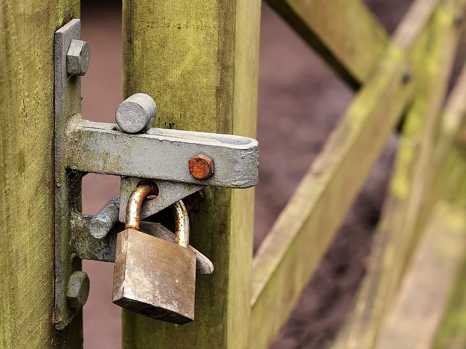 padlock, wooden, gate, lock, locked, security, closed, secure, blocked, barrier