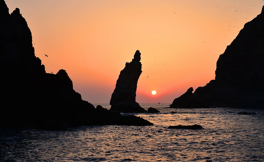 silhouette, islet rock, dokdo, korea, our territory, gyeongsangbuk-do, a beautiful island, 19, seagull, dokdo seals