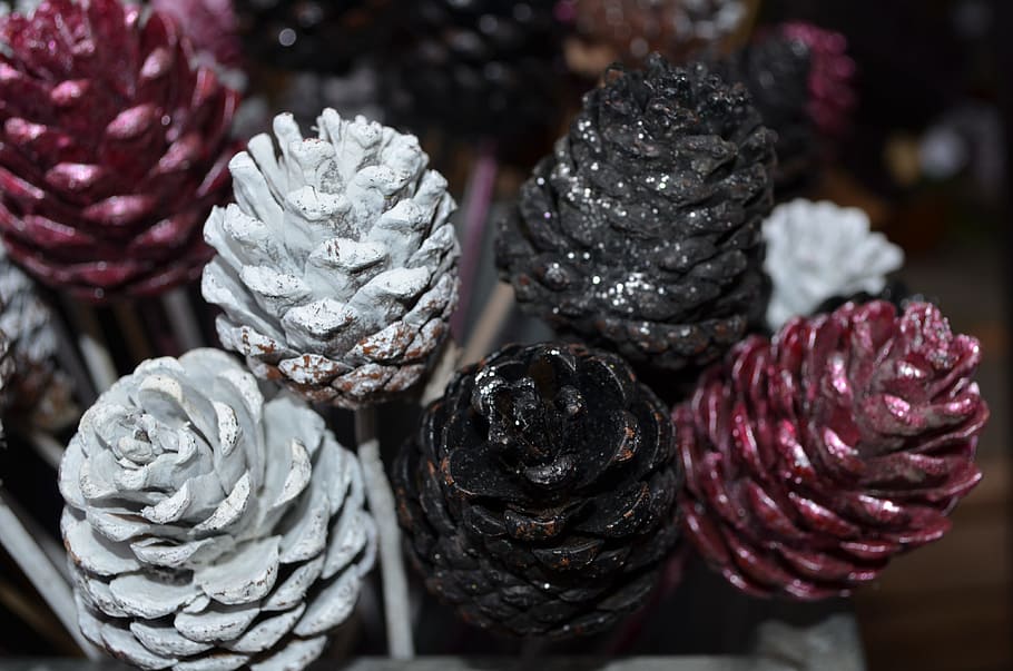 pine cones, pinecones, pine, cones, decorative, decoration, nature, pinecone, holiday, fir