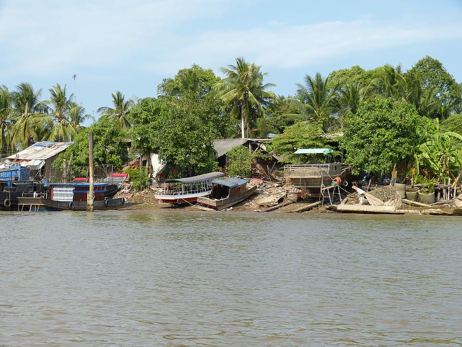 Vietnam, Mekong River, Mekong Delta, river, transport, ship, tropical, inland waterway transport, shipping, wooden boat