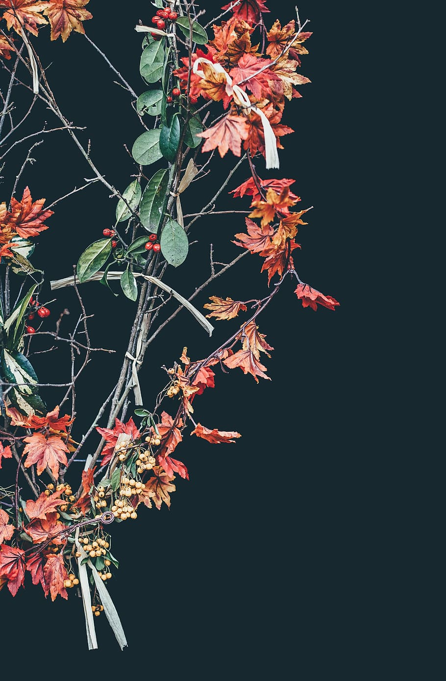 brown, red, wreath, green, flower, leaf, fall, autumn, branch, tree