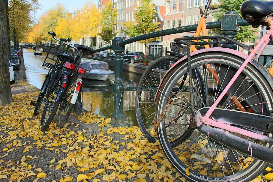 amsterdam, bicicletas, canales, otoño, hojas, color, holanda, luz, calles, perspectiva