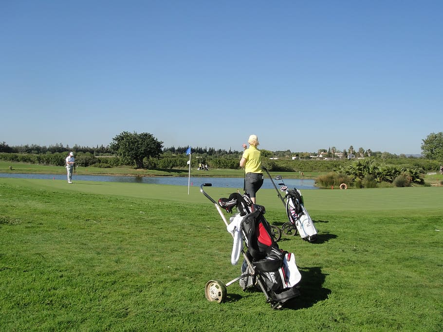 Putten, Golf Course, golf, putting, space, green, golf ball, rush, putting-green, putt
