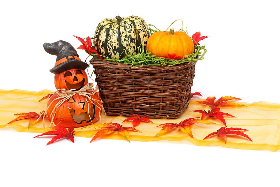 Autumn, White, Light, Decoration, Fall, white, light, halloween, harvest, holiday, leaf