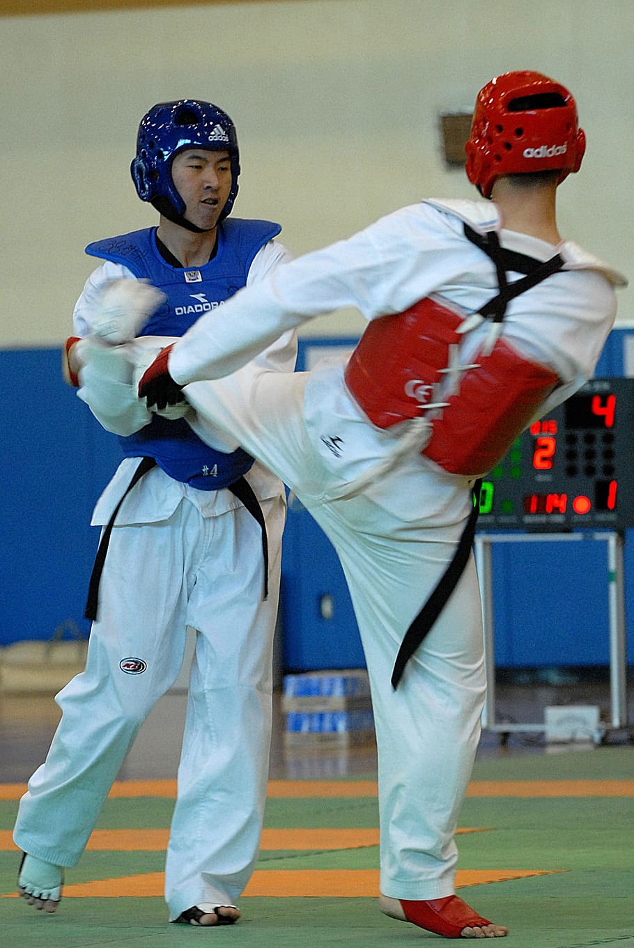 two, men, sparring, orange, green, mat, taekwondo, sport, competition, males