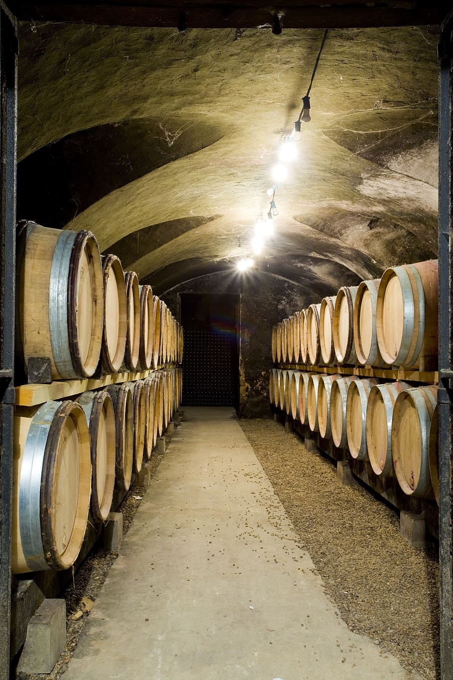 Cellar, Wine, Botti, Botte, wines, barrels, vintage, enoteca, wood, barrel