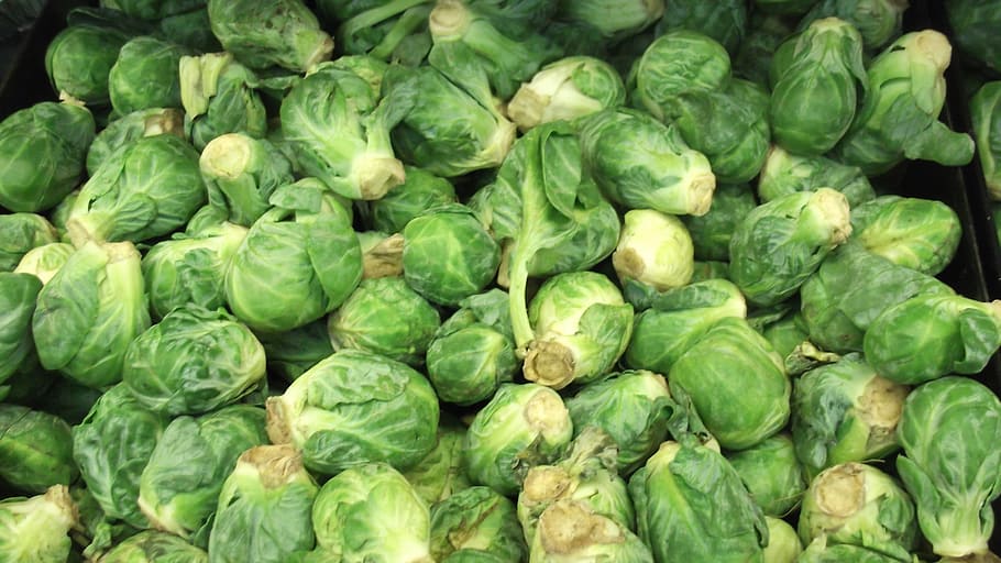 Brussels Sprout, Vegetable, Food, freshness, green Color, organic, nature, healthy Eating, raw Food, food And Drink