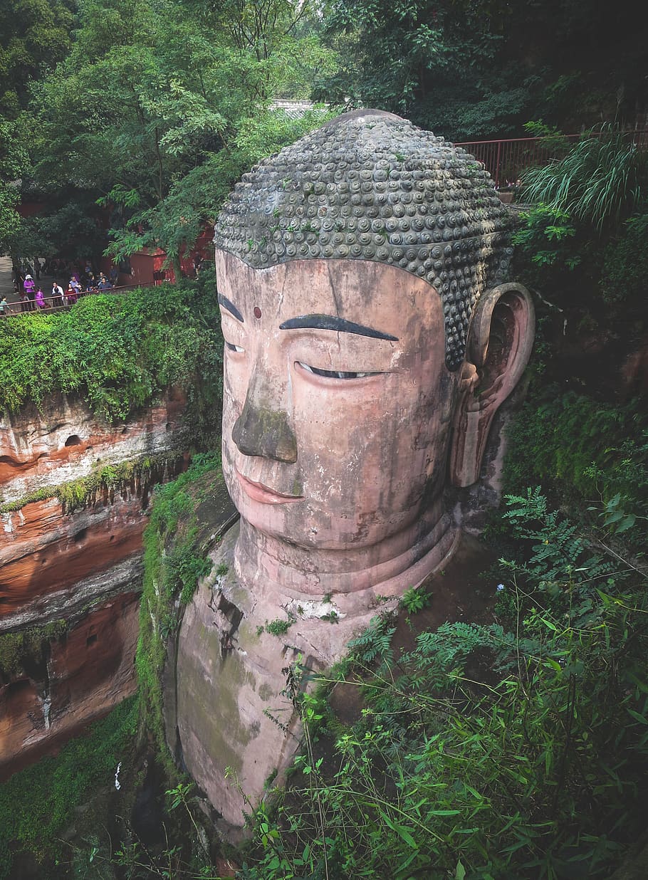 Buda gigante de Leshan, cultura, estatua, gente, turistas, plantas, hojas, Sichuan, China, budismo