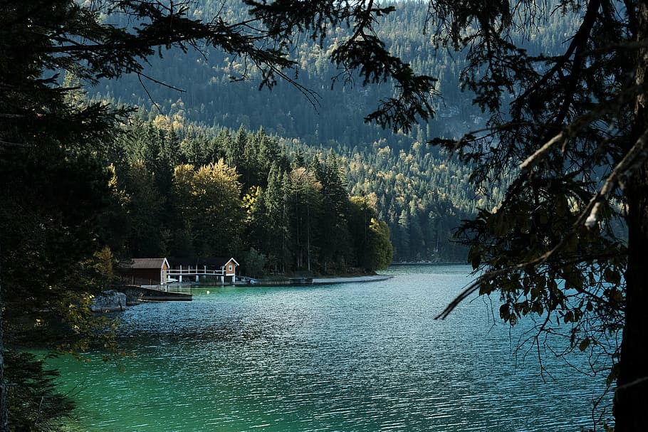 view of lake, brown, house, forest, body, water, lake, blue, nature, mountain