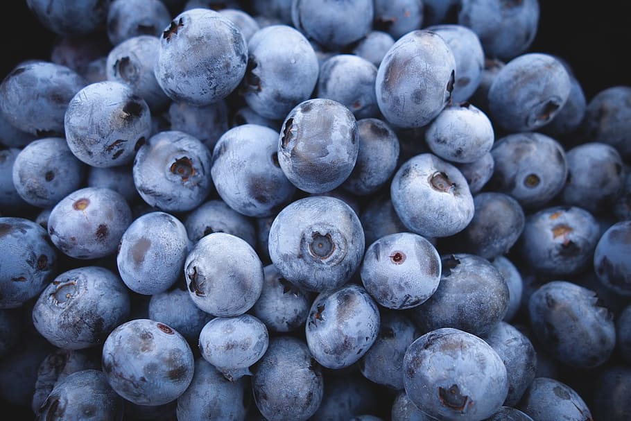 blueberries, fruit, food, berries, blue, organic, diet, ripe, nutrition, antioxidant
