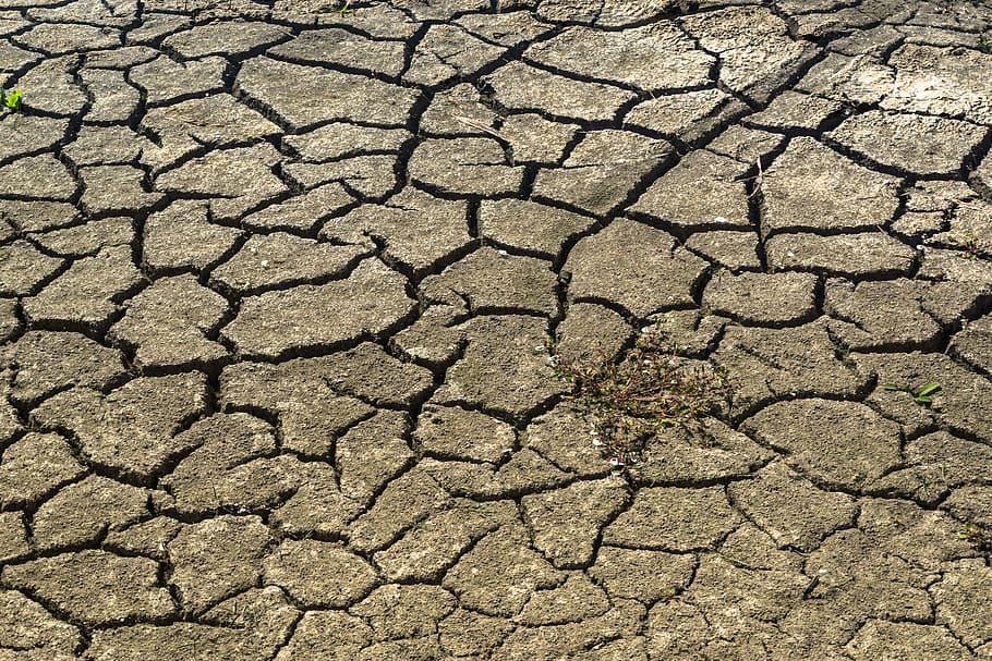 brown cracked ground, Drought, Mud, Dry, Africa, Famine, hunger, cracks, field, clay