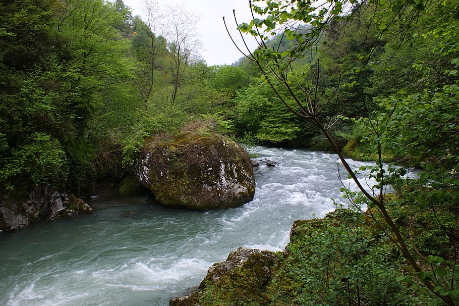 georgia, river, kintrishi, landscape, wilderness, scenery, natural, wild, outdoor, environment