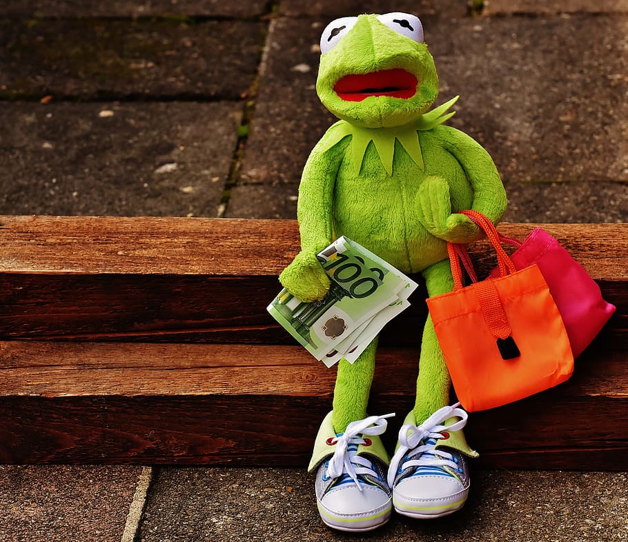 kermit, frog, sitting, holding, banknote, shopping, money, euro, shopping bags, bags