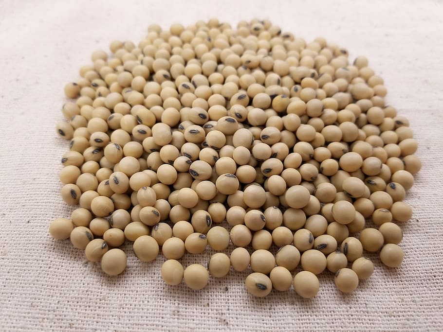 soybean, soybeans, soy, seed, beans, soya, still life, freshness, food, large group of objects