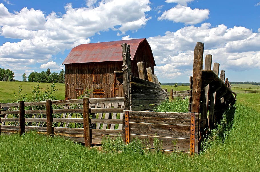 Granero viejo, Colorado, viejo, madera, granero, cielo, rústico, vintage, granja, rural