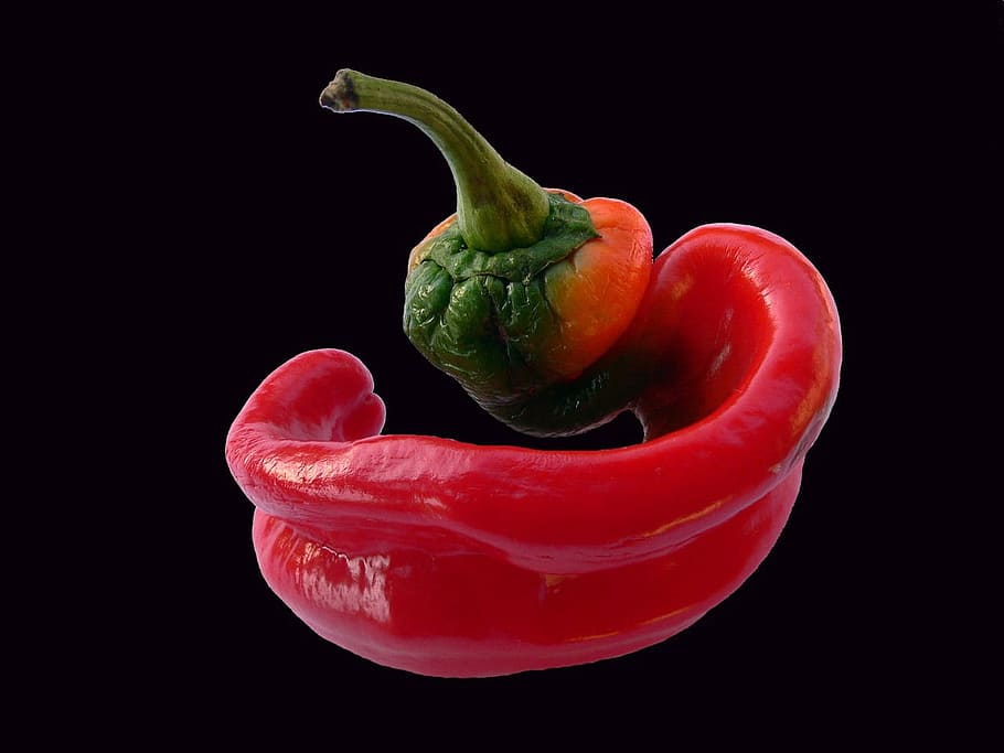 Pepper, Vegetable, Fresh, Healthy, organic, kitchen, diet, meal, ingredient, harvest