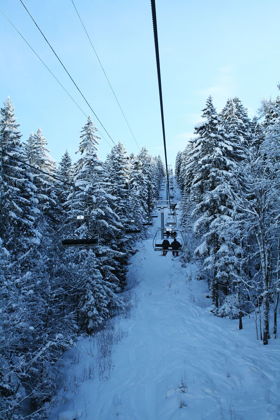 french-speaking switzerland, snow, trees, wintry, cold, winter, sun, gondola, cold temperature, tree