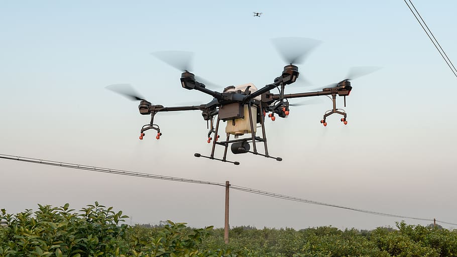 dji, uav, drone de protección vegetal, tierras de cultivo, agricultura, protección de plantas, t16, agras, drone, volando