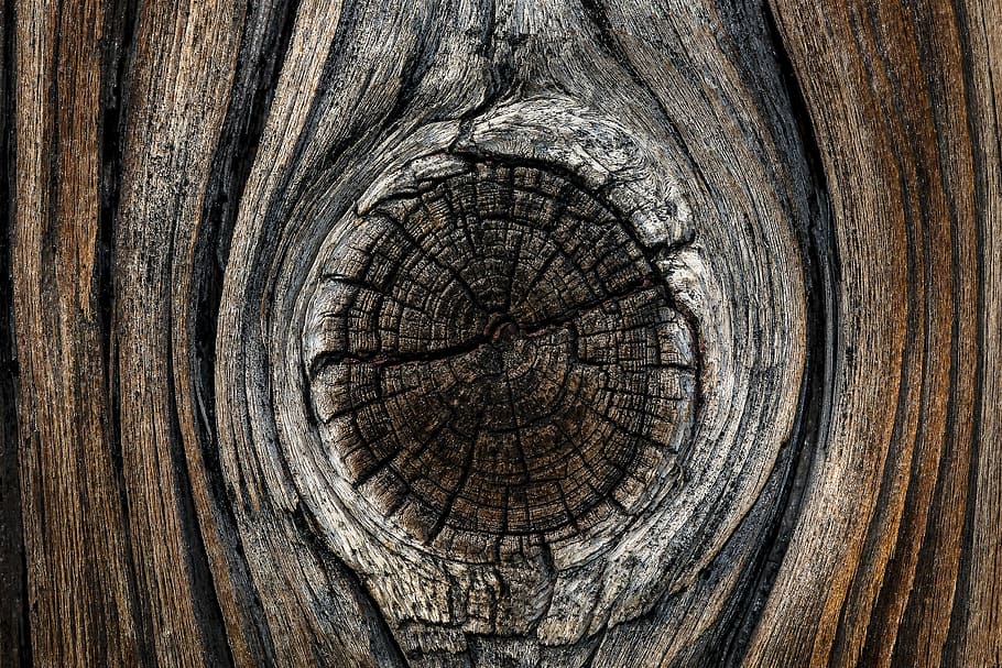 close-up photography, brown, beige, wooden, slab, board, wood, branch, old, grain