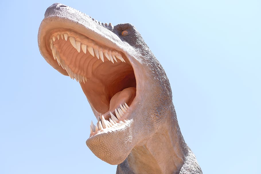 estatua del dinosaurio, Trex, dinosaurio, tiranosaurio, Rex, escultura, parque, fósil, animal, prehistórico