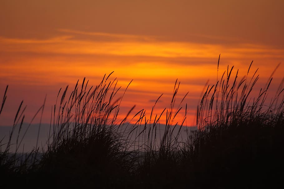 puesta de sol, escupida dungeness, paisaje marino, playa, desierto, costa, costero, conservación, ecología, medio ambiente