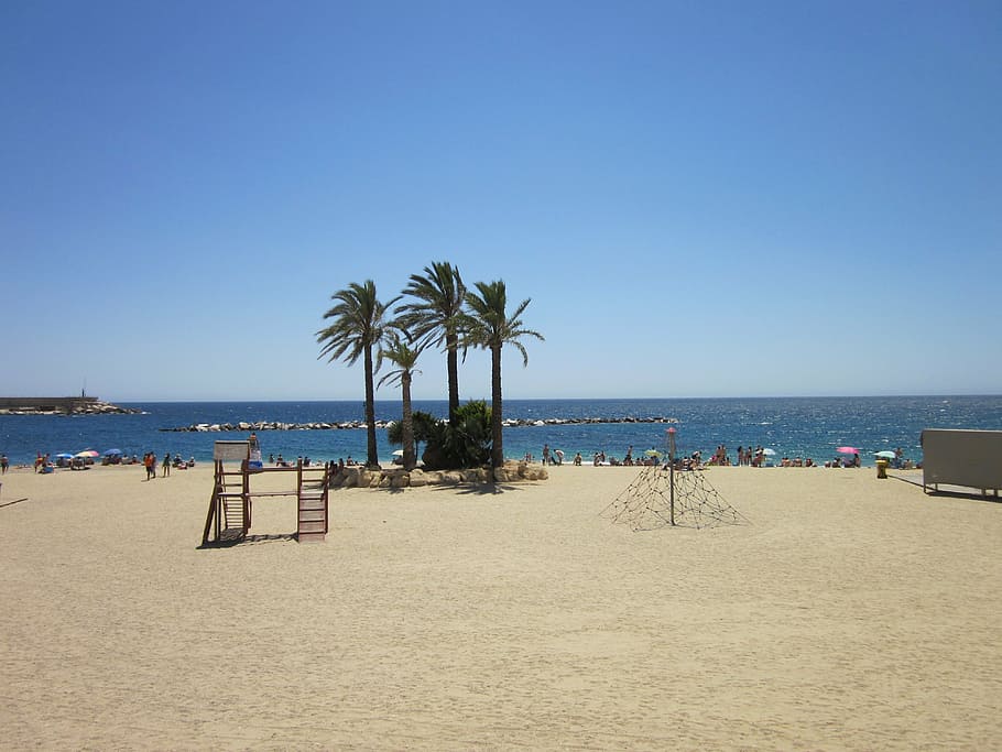 beach, garrucha, almeria, sky, land, water, palm tree, sea, sand, tropical climate
