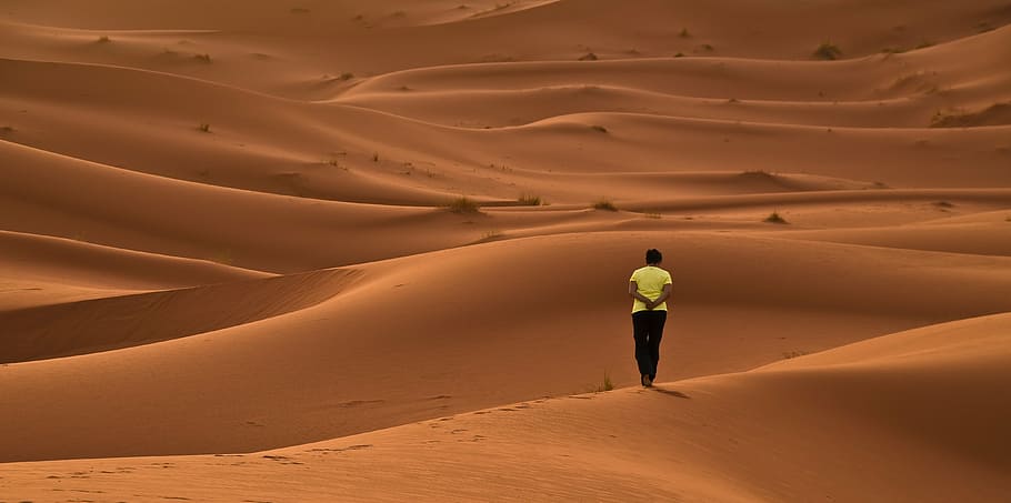 homem, em pé, deserto, dunas, areia, vermelho, áfrica, marrocos, saara, luz da manhã