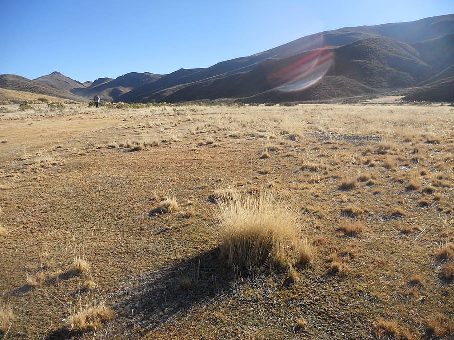 Highlands, Bolivia, Brava, Straw, brava straw, landscape, dry, prairie, mountain, mountain range