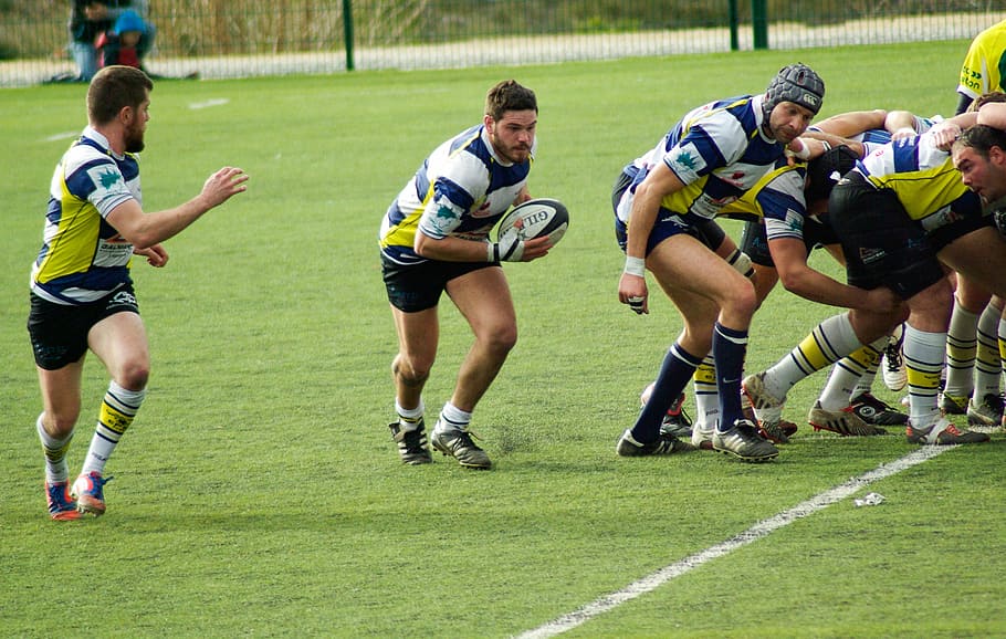 men, playing, football, field, Rugby, Ball, Ball, Sports, Match, Action, rugby, ball
