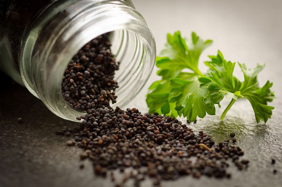 poppy seeds, parsley, glass, jar, food, herb, food and drink, plant, spice, indoors