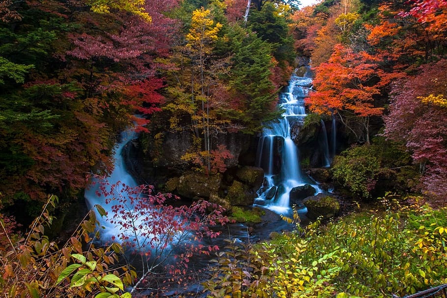 waterfalls, surrounded, trees, ryuzu waterfall, sunlight, autumn, waterfall, autumnal leaves, japan, fall of japan