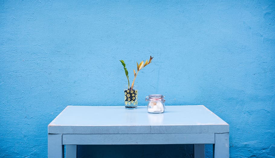 flower, vase, glass, jar, table, blue, decor, objects, plant, flowering plant