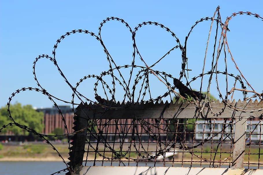 Barbed Wire, Fence, Freedom, Captivity, dom, metal, wire, prison, border, boundary