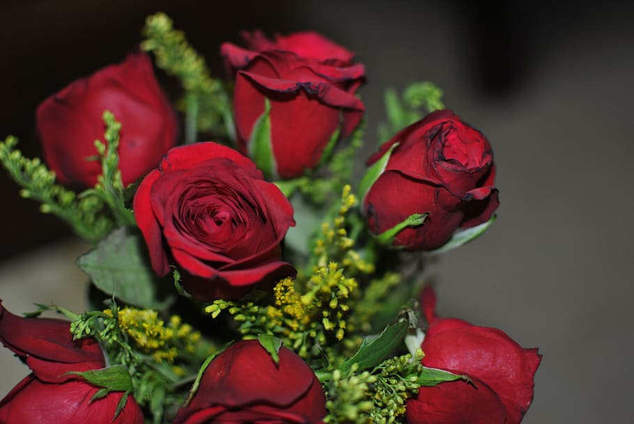 bundle, red, rose, flowers, flower, green, love, decoration, bunch, petal
