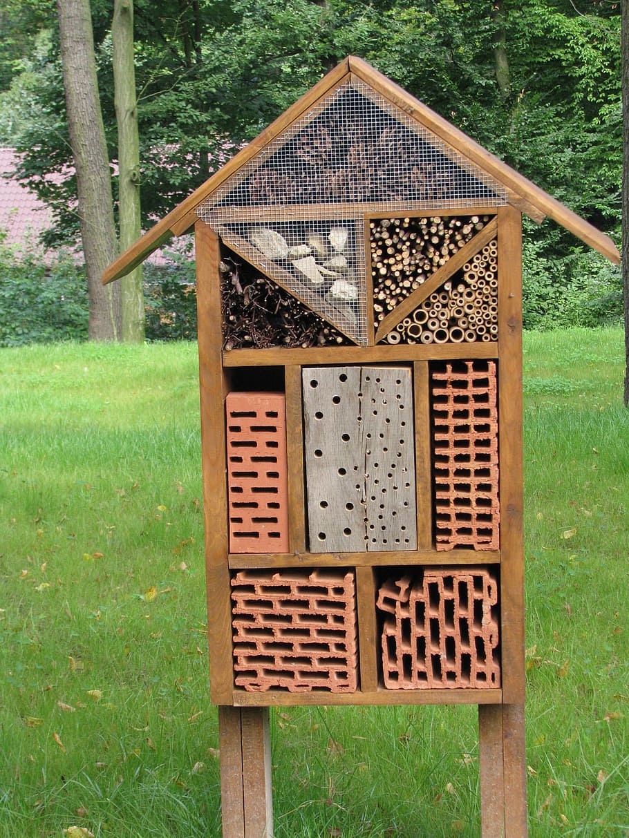 insect house, bug hotel, cracow zoo, wooden, ecology, natural, protection, wildlife, shelter, garden