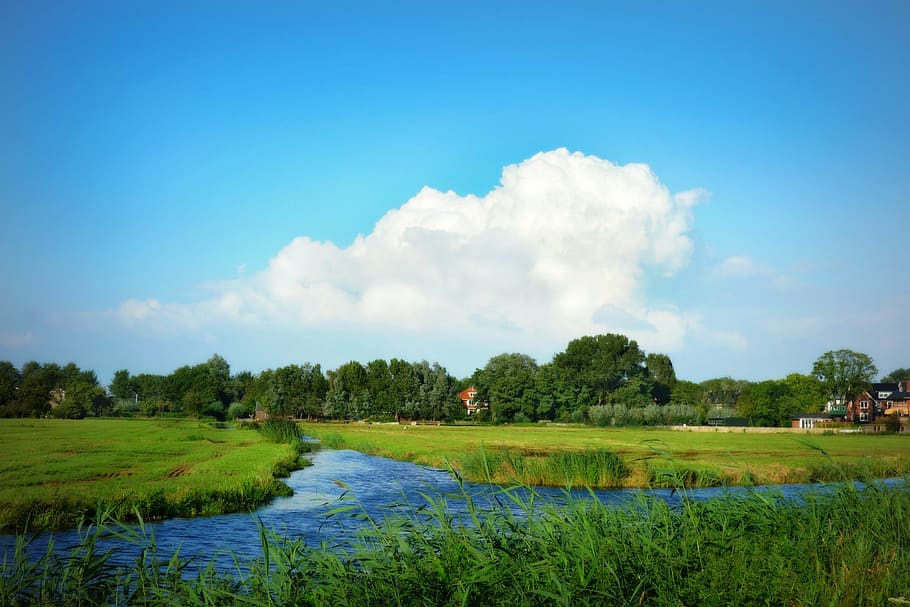 holanda, paisagem, paisagem holandesa, pôlder, prado, via fluvial, grama, grama verde, rurais, verão