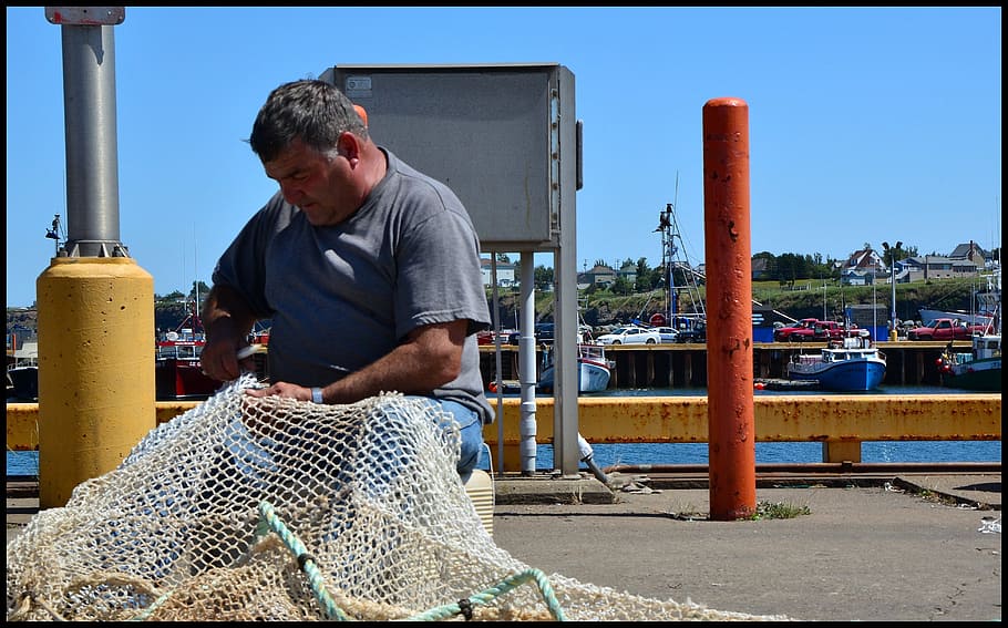 Fisher, Fisherman, Fishing Net, Fishnet, fishing, craft, man, person, work, worker