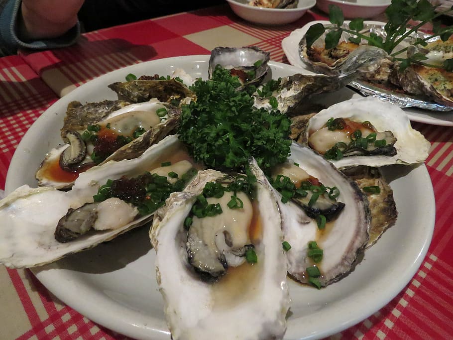 mussel, white, ceramic, plate, oysters, food, japanese, foods, izakaya, cuisine