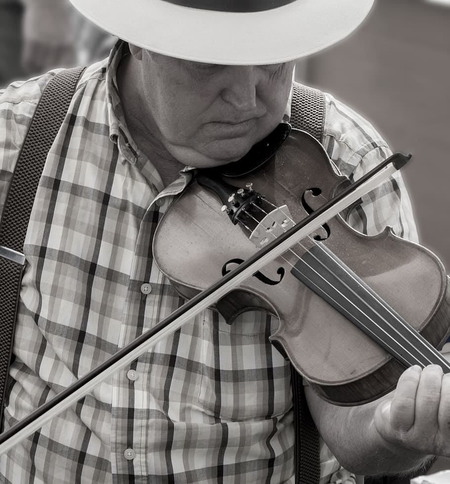 hombre, persona, violín, música, país, sur, vaquero, sombrero, adulto, blanco