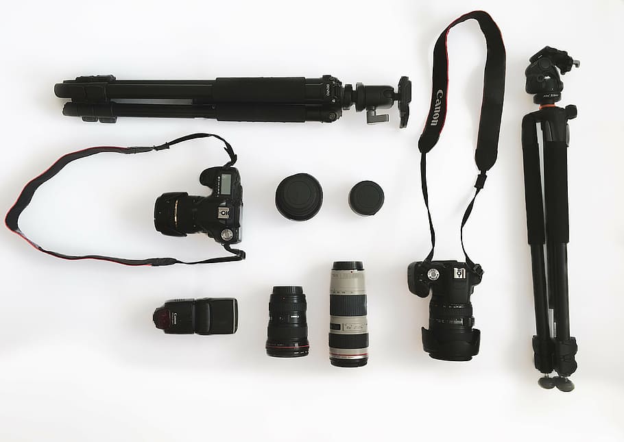 fotografía plana, dos, cámaras réflex digitales, trípodes, cámara, equipo, lente, profesional, trípode, canon