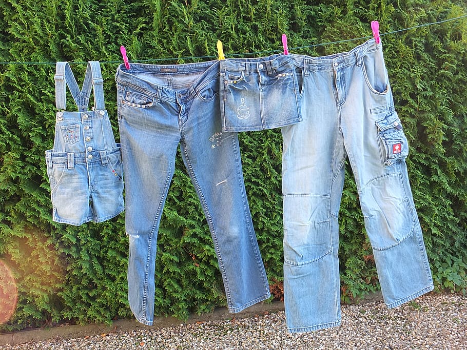 four, denim bottoms, wire, jeans, leash, laundry, hanging, clothing, plant, clothesline