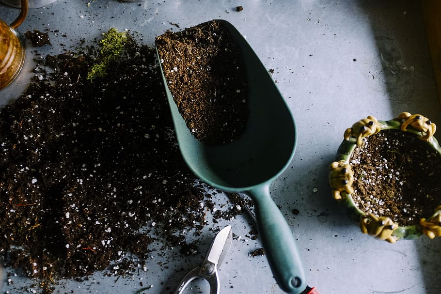 hijau, sekop mini, hitam, tanah, berkebun, pot, sendok, sekop, makanan dan minuman, peralatan dapur
