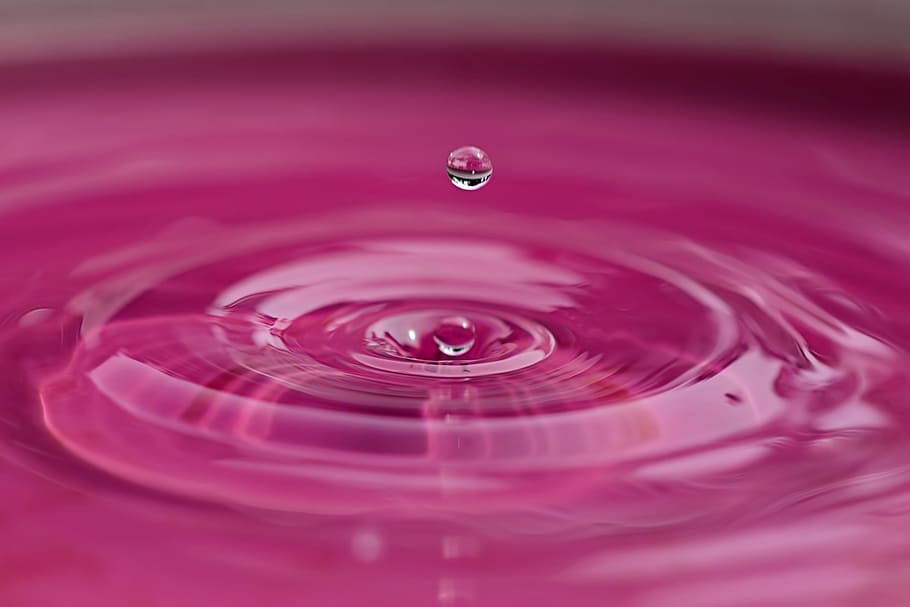 분홍색 액체, 물방울, 튀김, 액체, 깨끗한, 투명한, 매크로, 물, 순도, 신선도