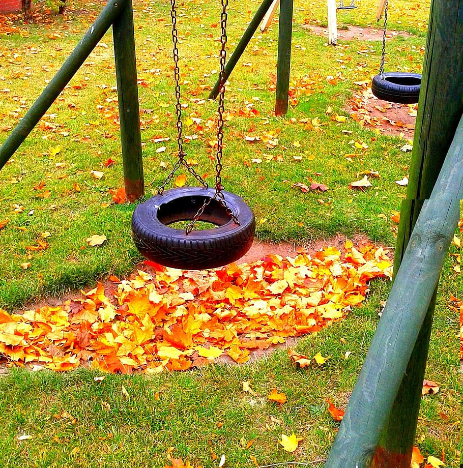 park, nature, playground, swing, grass, day, front or back yard, outdoors, metal, lawn