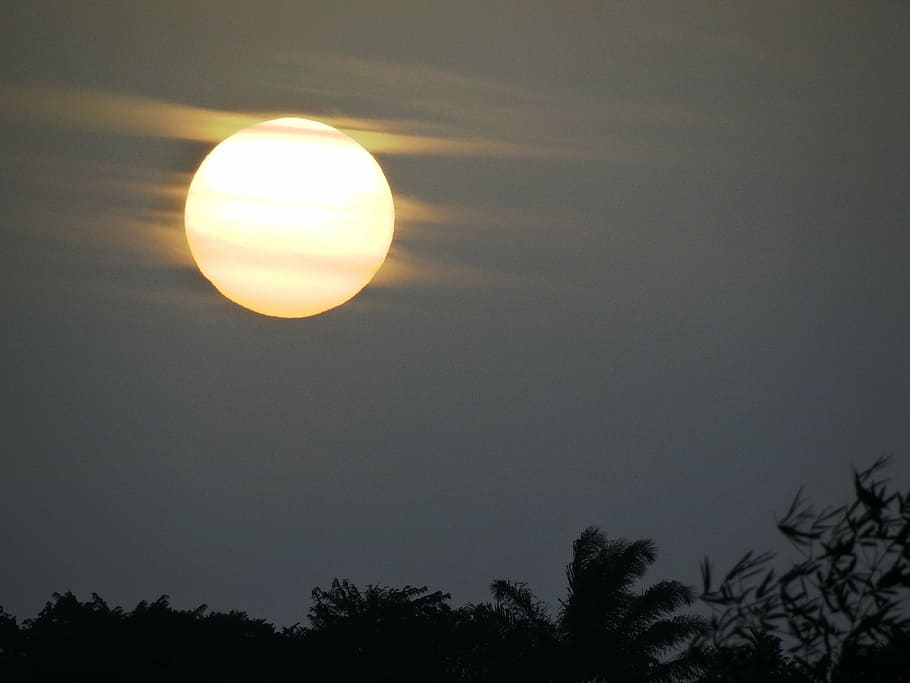 dawn, amazonia, sol, sun, tree, silhouette, beauty in nature, outdoors, sky, moon