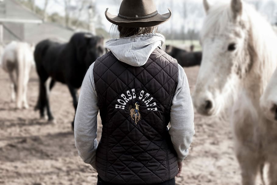 person, wearing, gray, black, horse staff print jacket, leather cowboy hat, black Horse, Staff, print, jacket
