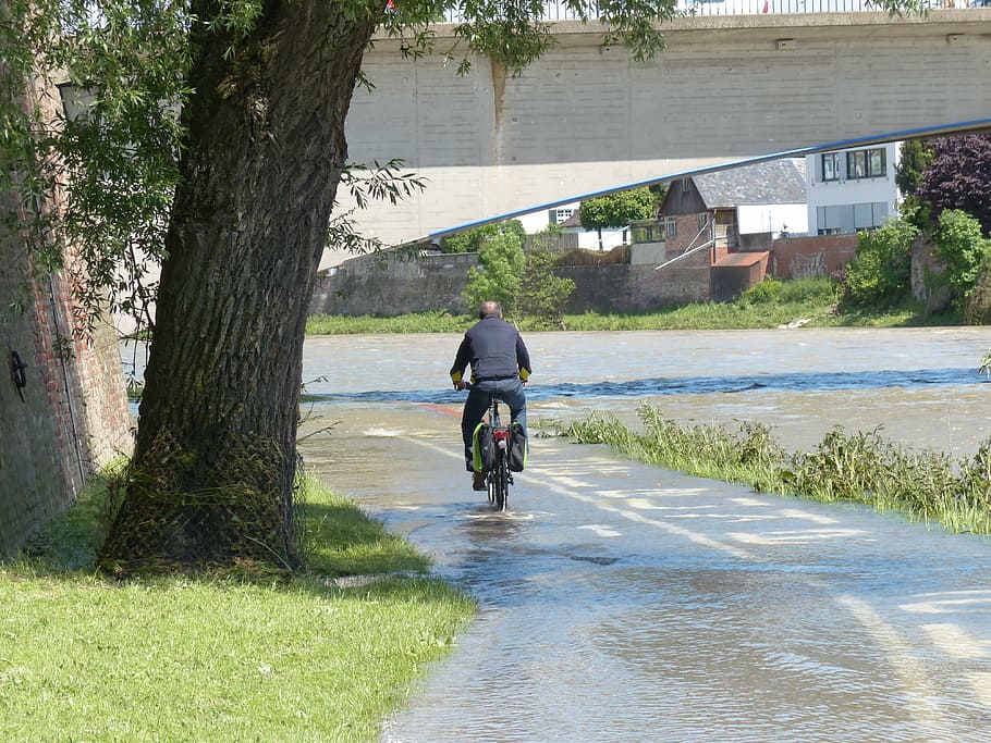 high water, cyclists, wet, get wet, attempt, water, deep, too low, danube, cycle path