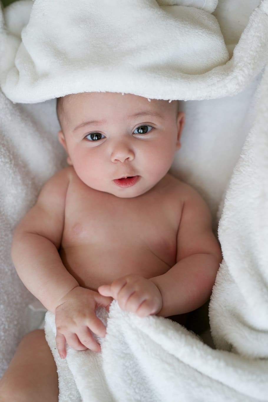 赤ちゃん, 白, 繊維, 毛布, 新生児, 子供, 無邪気さ, かわいい, 幼児, 肖像画